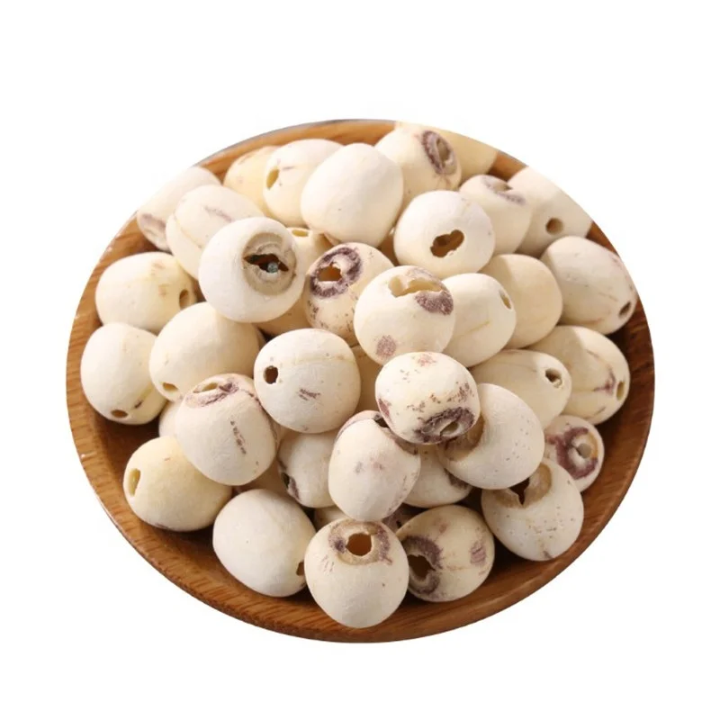 wholesale dried lotus seed for export