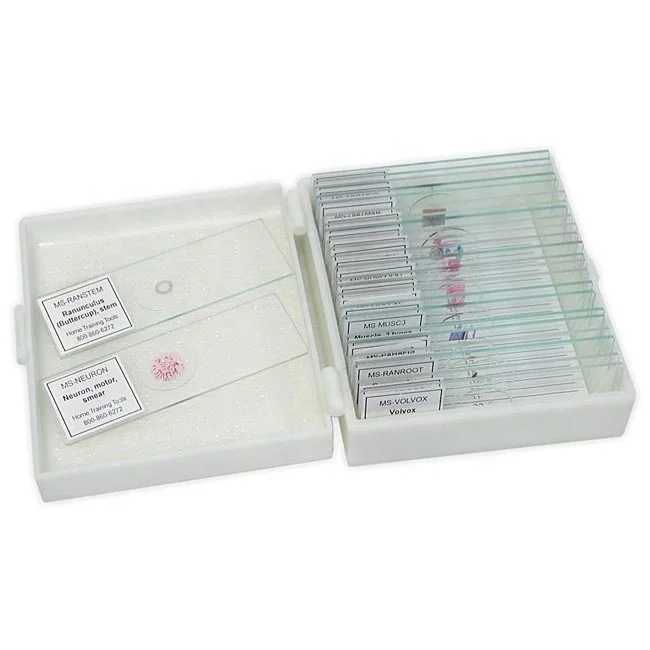 Лезвие курицы серийные поперечные секции микроскоп готовые слайды на животных