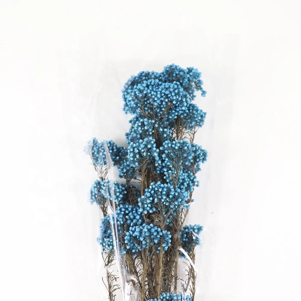 Source Factory Dried Rice Flowers for Home Decoration Dried Flowers Grass Decor Millet Flowers