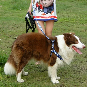 Лучшие продажи прочный Пользовательские Регулируемый полиэстер собака жгут