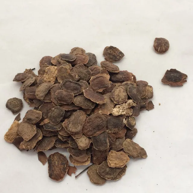 hainan High purity Dalbergia odorifera seeds Cocobolo Wood seeds