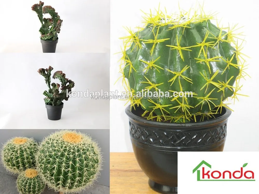 Atacado Ornamental Cactus/cactus E Suculentas/cactos Artificiais - Buy Cactos  Artificiais Product on Alibaba.com