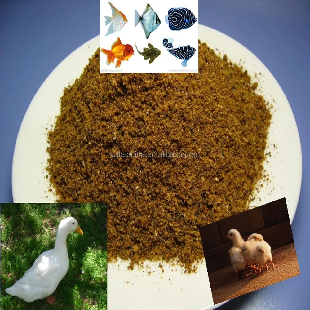 Porcine Meat and Bone Meal,poultry Meat Bone Meal