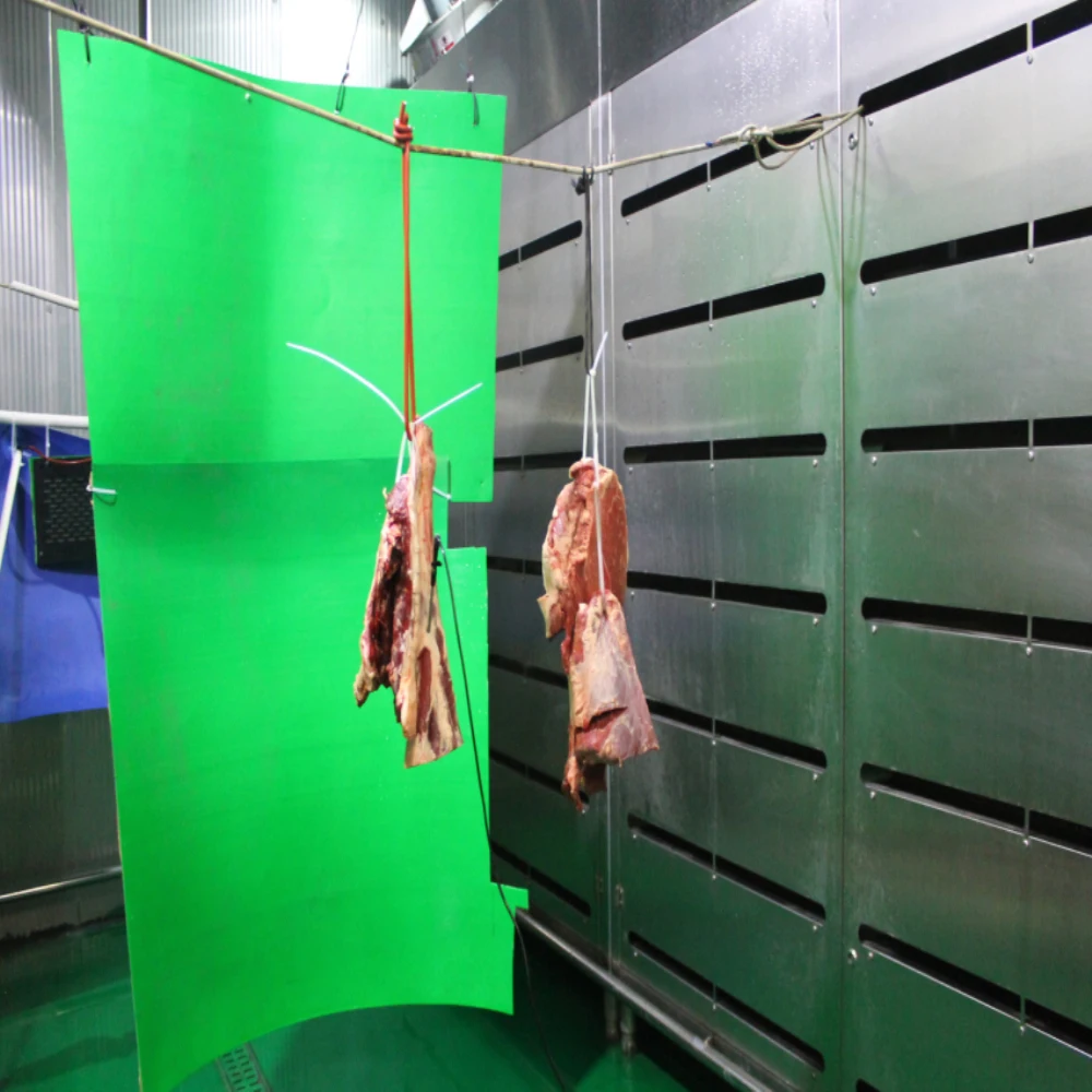Chicken thawing chamber for defrosting machine frozen meat microwave thawing machine equipment