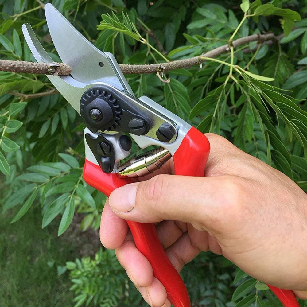 Jardinería sometido jardín tijeras de podar Micro punta poda tijeras de  hoja recortadora recto Florista de tijera para las plantas|Herramientas de  poda| - AliExpress