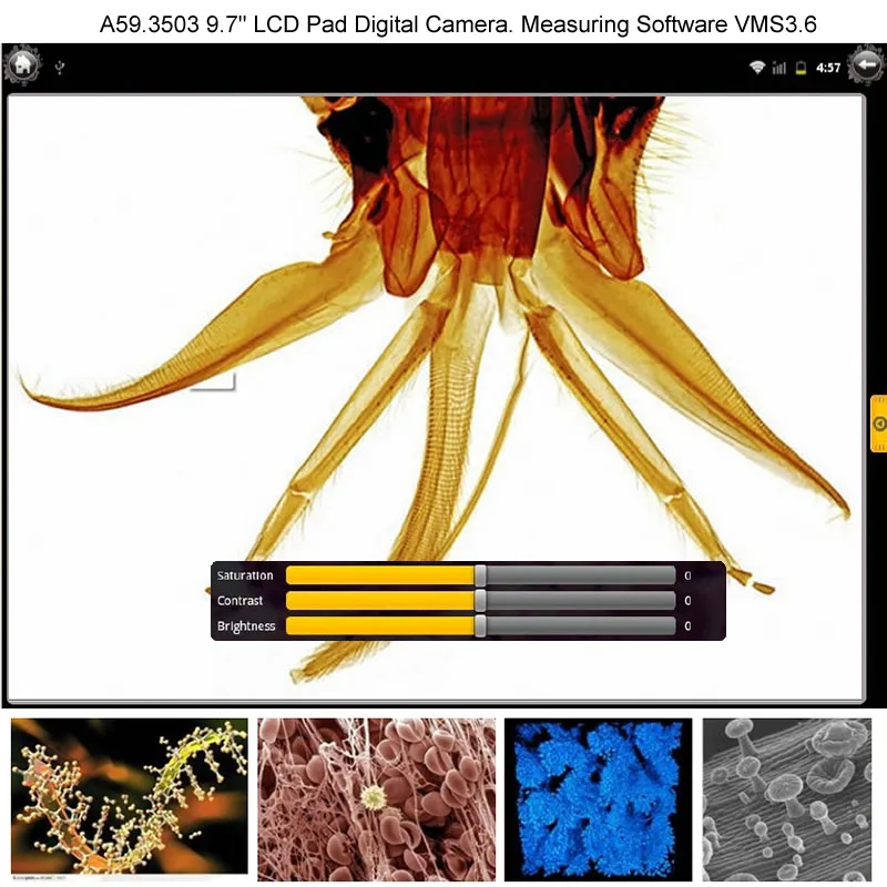 OPTO-EDU A33.1005 Digital LCD Inverted Biological Microscope