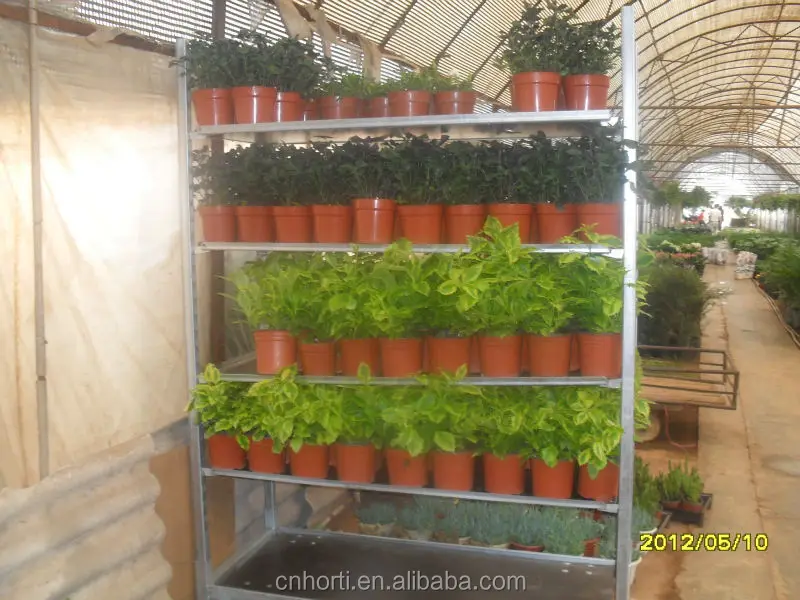 
 Тележка CC/голландская тележка с цветами/тележка со стальной рамой и полкой из фанеры  