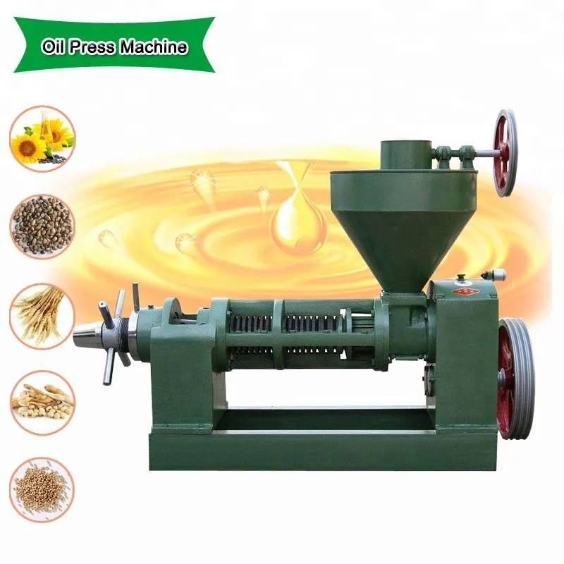 Castor Walnut Hazelnut Macadamia Nut Seed Sacha Inchi Cocoa Bean Jatropha Cold Small Mini Press Oil Extractor Machine