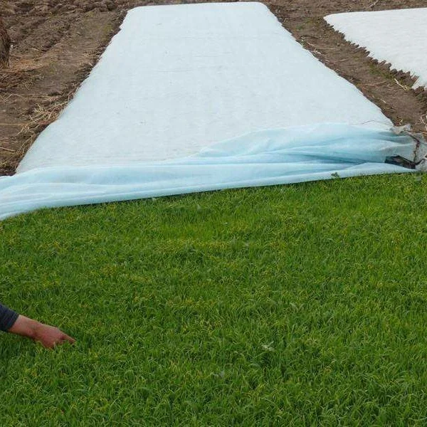 Breathable UV stabilized tnt fabric PP Spun bonded non woven agriculture fabric for winter plant protection cover anti frost