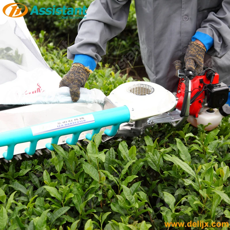 
Машина для выщипывания листьев чая, оптовая продажа 