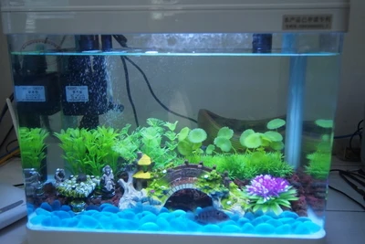Fish tank free shipping To keep shipping FREE and livestock prices Low. We ship out orders on Wednesday of every week to arrival on Thursday. We only use FedEx Overnight Priority as a method for shipping on LiveStock Packages. Care and Packaging: Our primary concern is the health and safety of your fish.