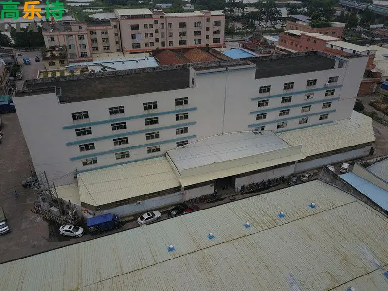 Foshan Gaoleshi Technology Co., Ltd. 2