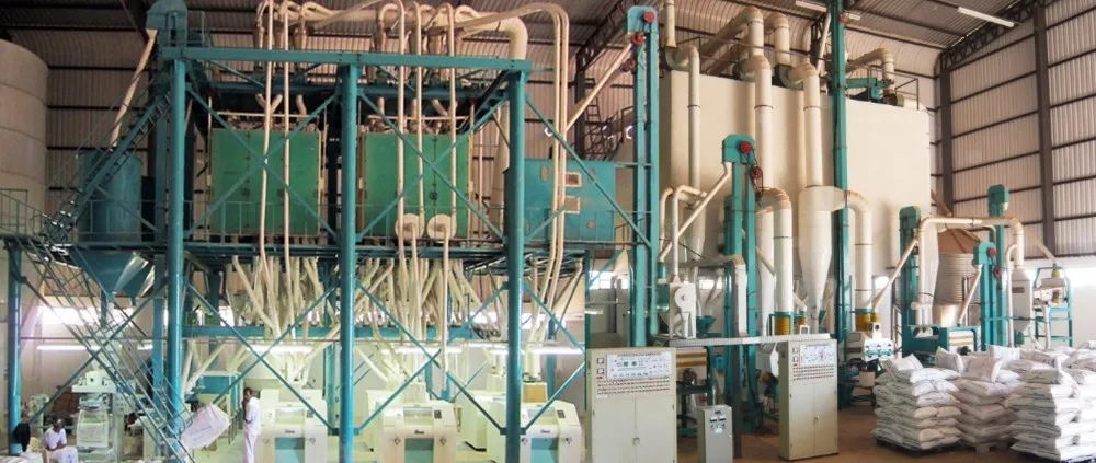 grain processing machine automatic flour mill wheat flour milling machine