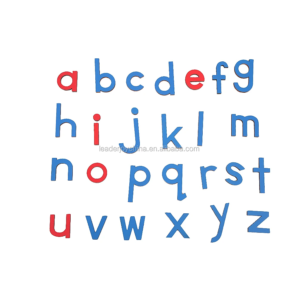 Montessori Language Learning Materials for Spanish Print Moveable Alphabet With Box