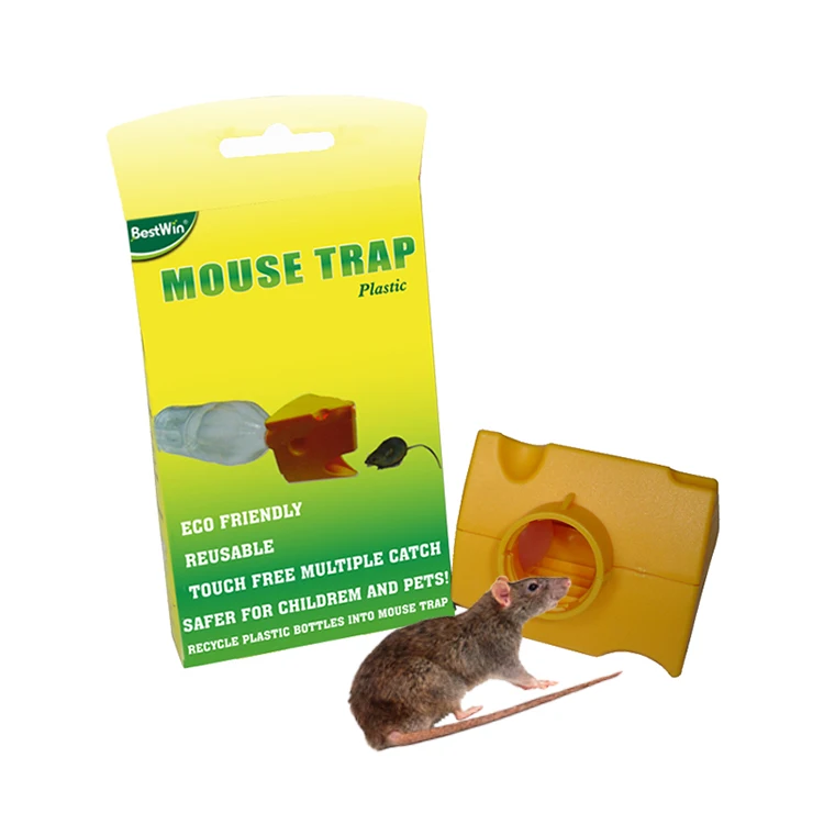 Armadilha Para Ratos ZingZap - Modelo Túnel Humano, Captura Eficiente