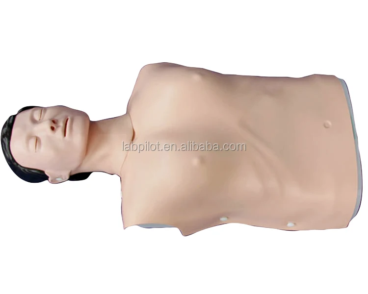 Body Manikin Training Dummy Resuscitation CPR Model Half Body Adult for Hospital School Educational LHMYHHH First Aid Training Teaching Model 