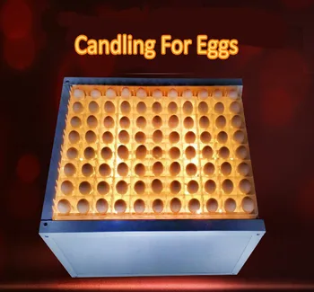 incubator egg tester egg candler for