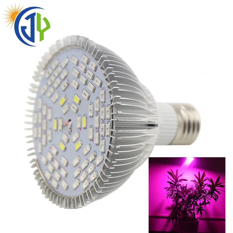 diy cxb3590 led chip 12 band 50w 100w 300w crees full spectrum cob led grow light kit for hydroponic greenhouse