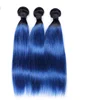 1b  blue