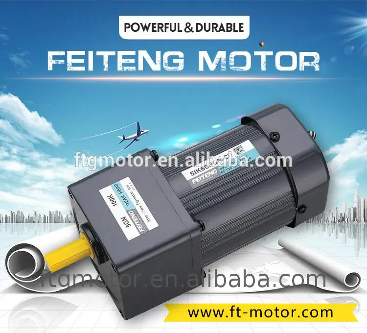 FTG Variable Speed  Ac Gear Motor