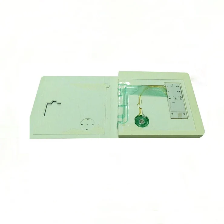 Pre-recorded Mini Sound Speaking Book with PET Film Module