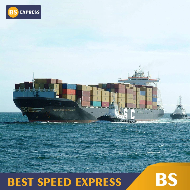 BS Express Cargo Container Shipping Service