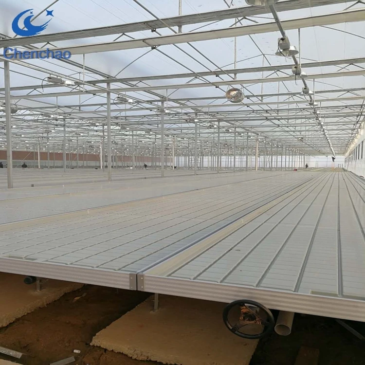 Agricultural Multi-Span Nursery Supplies Nft Hydroponics System Greenhouse  Rolling Tables/Benches/Bed - China Customizable Size, Grow Bed