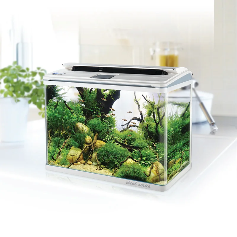 smart fish tank
