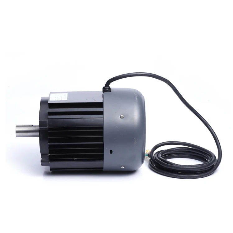 Waterproof Class F Bldc Fan Motor 48v 24v 900w 3000rpm  Dc Brushless  Electric Motor Permanent Magnet Dc Motor for Boat