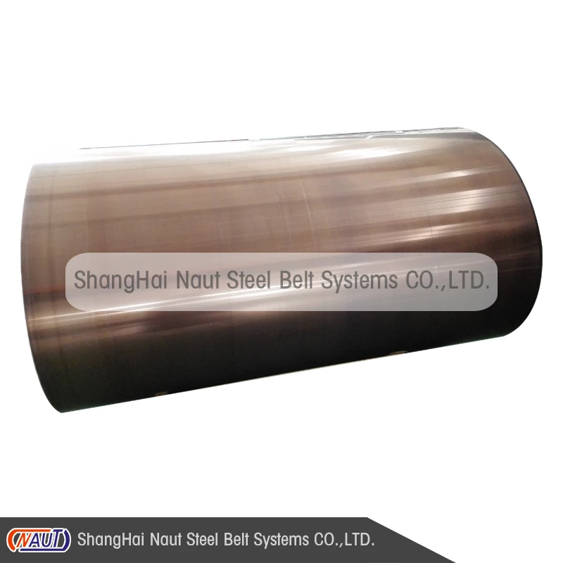 Китайский производитель NAUT из Шанхая высокопроизводительная машина для прессования