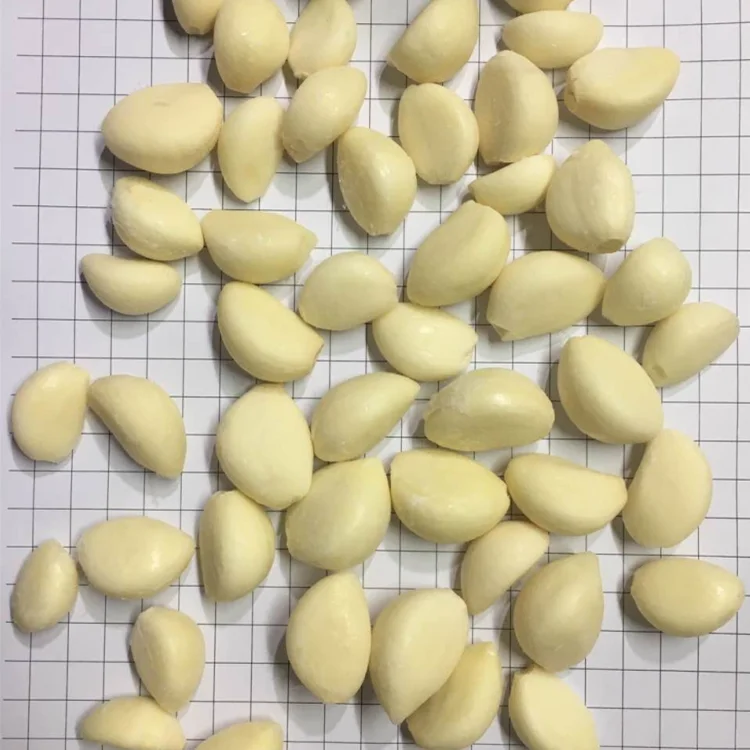 New HACCP IQF Garlic Cloves