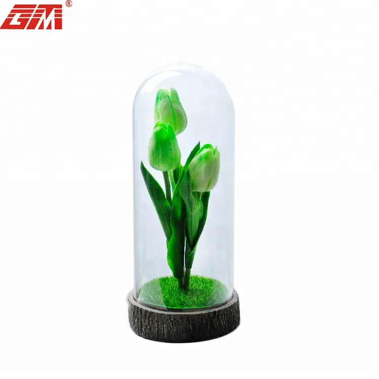 Decorative preserved tulip in glass dome with led light details