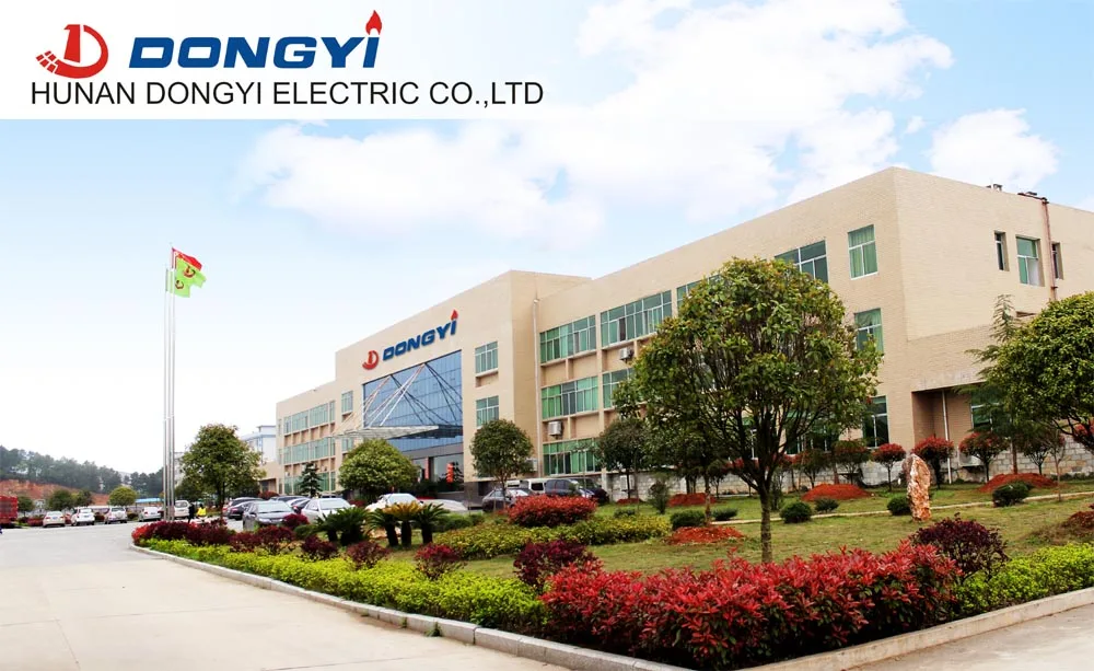 Hunan Dongyi Electric Co., Ltd. 1