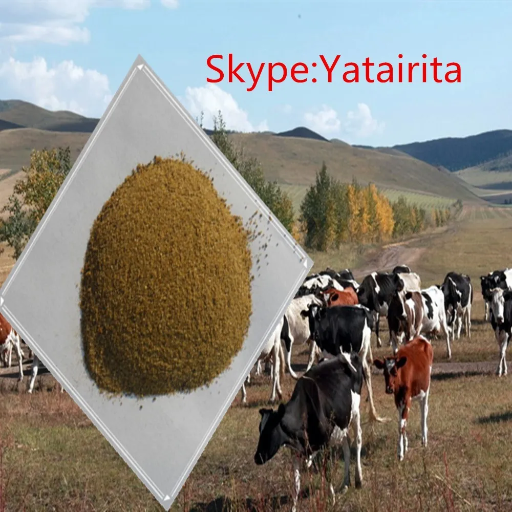 Yeast Protein 50% Natural,strong Attractant to Cattle