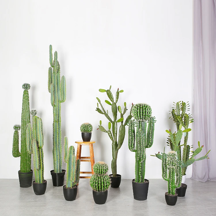Desert Plant 105cm Miniature Cactus Realistic Scientific Name Cactus Office  Decoration