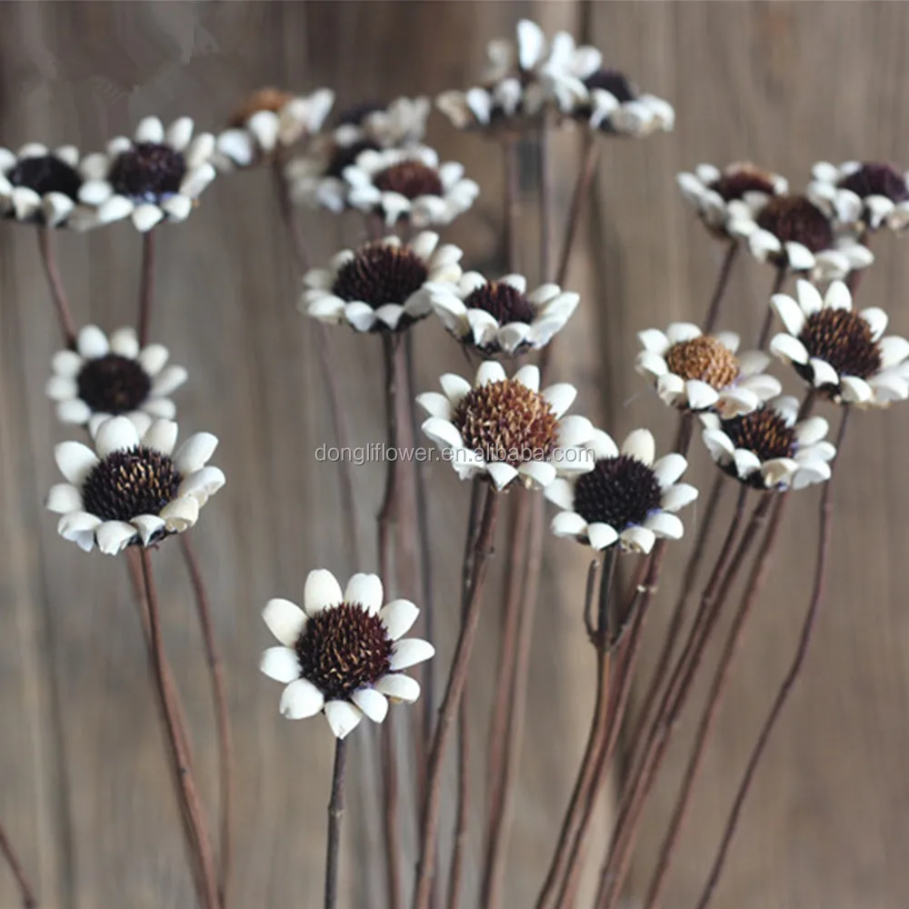 Dried Natural Handmade Gerbera Flower For Hotel Office Home  Decor,Centerpieces - Buy Dried Natural Flower,Natural Handmade  Flower,Handmade Gerbera Flower Product on Alibaba.com