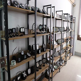 Changzhou Future Auto Parts Co., Ltd. 2