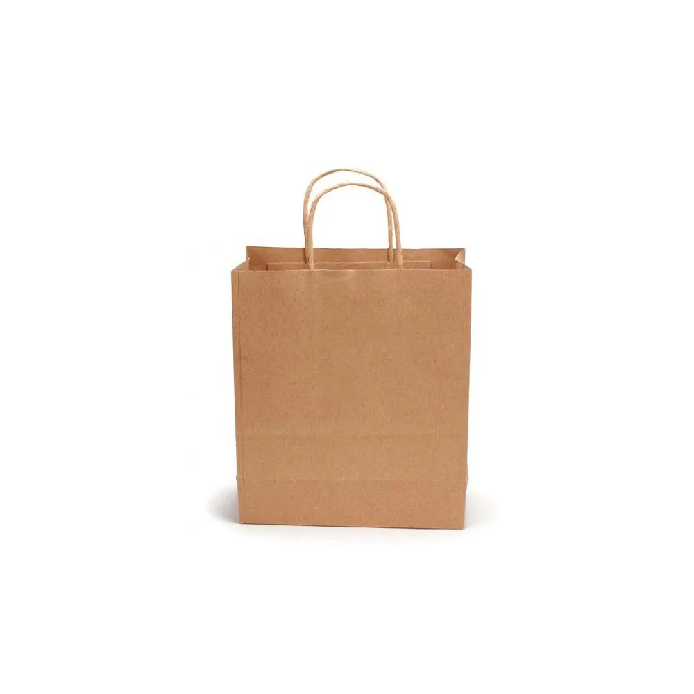 Paper Carry Bag