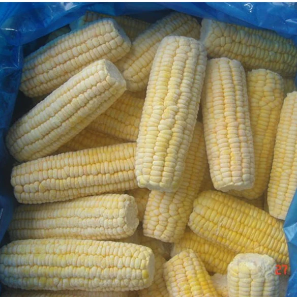 new crop BRC certified frozen sweet corn cob cut / whole good quality