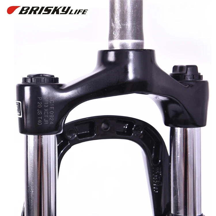 bicycle front fork assembly