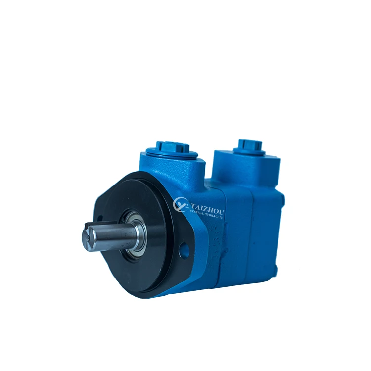 Vickers V10 V20 V10f V20f V10nf V20nf Hydraulic Rotary Oil Vane Pump Mini Micro Vane Pump