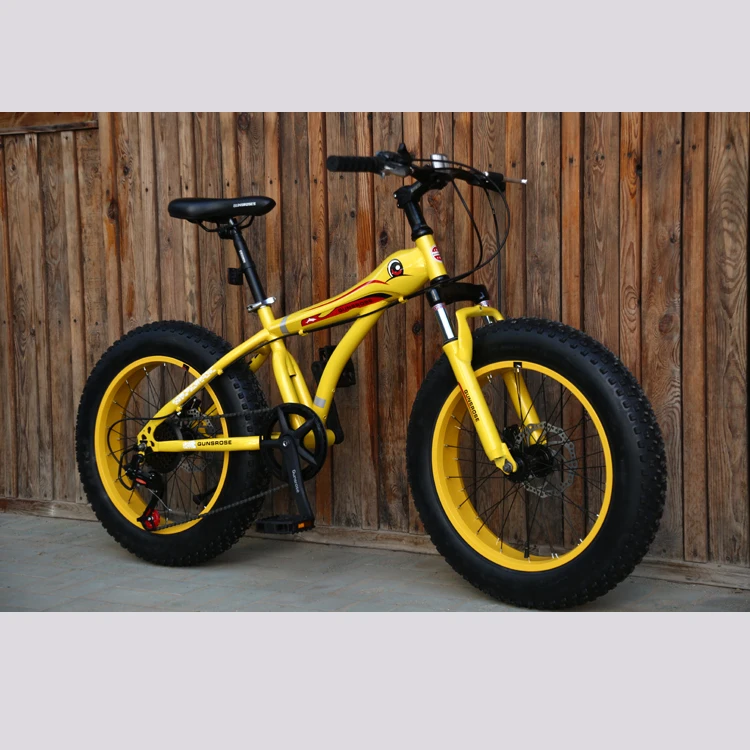 cycle for 17 year old boy