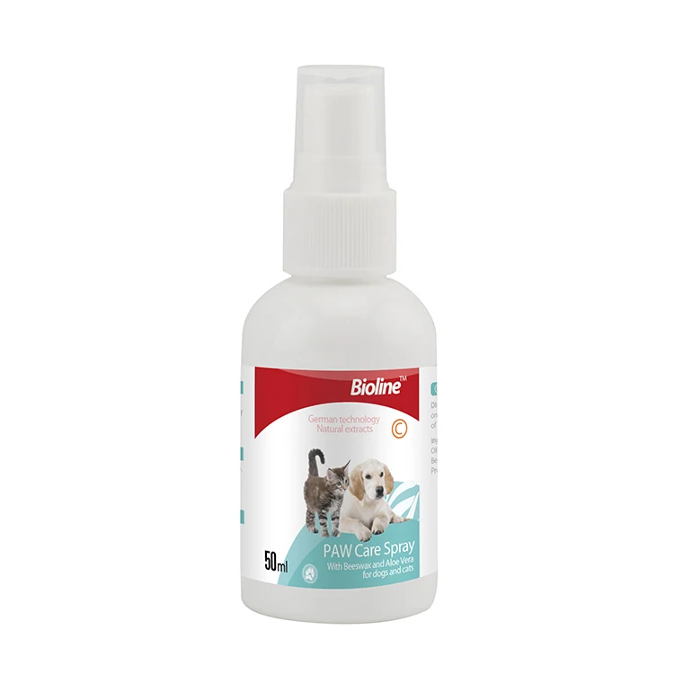 Can I Use Aloe On My Dogs Paws