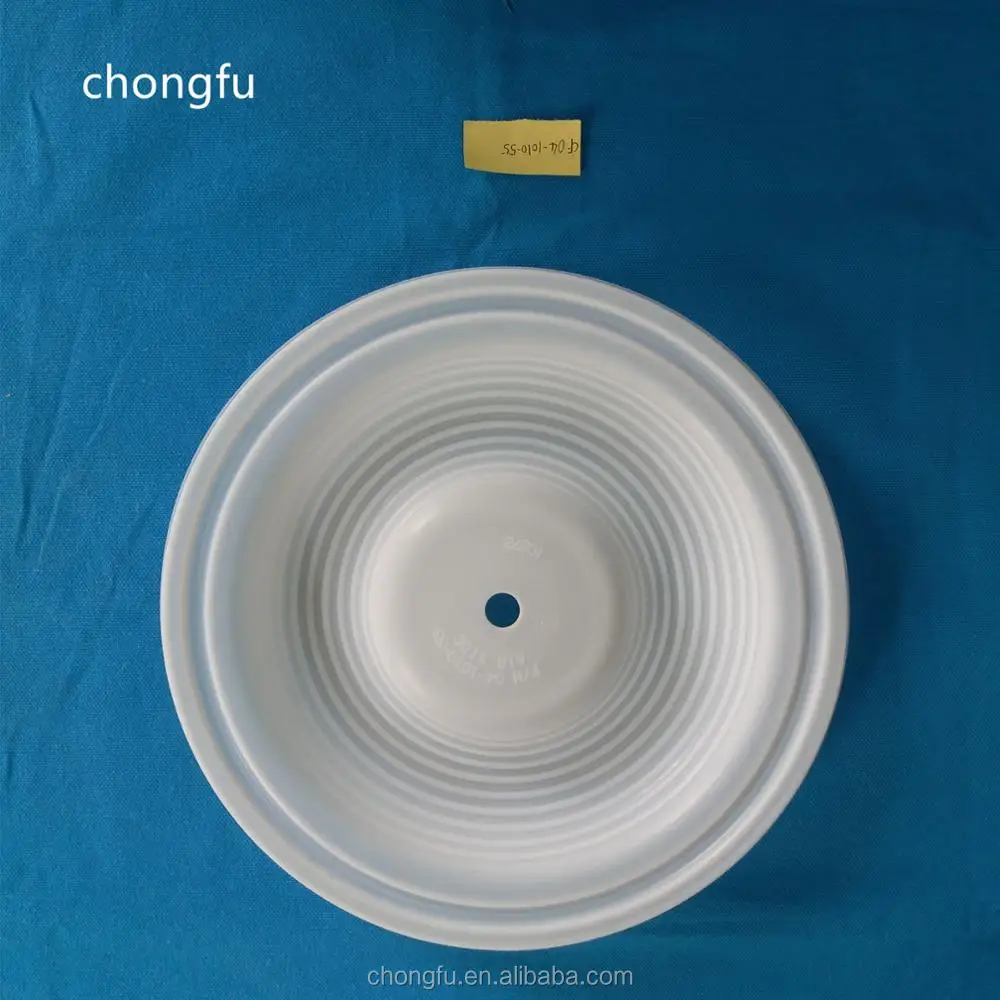 CF04-1010-55 Diaphragm details