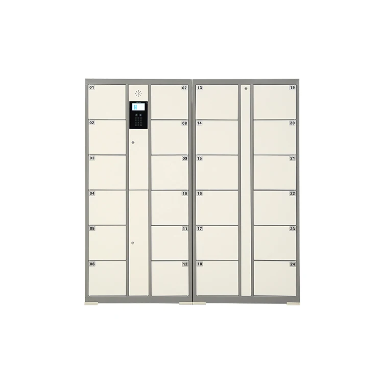 Storage Electronic Password Smart Locker in Good Quality with Competitive Price
