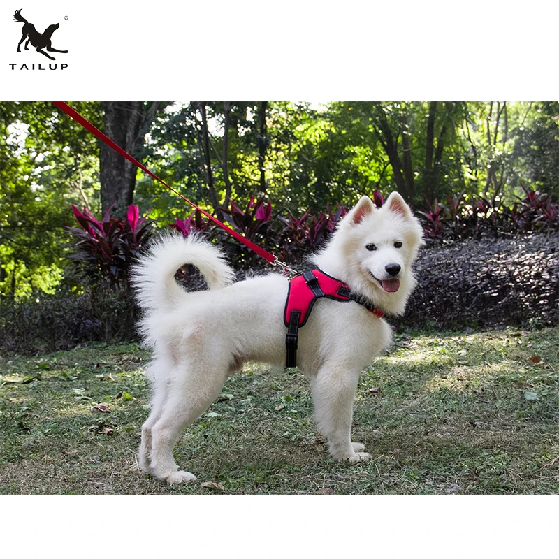 tailup dog harness