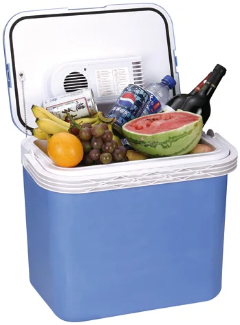 32L camping can electric Cooler Box custom mini fridge ce