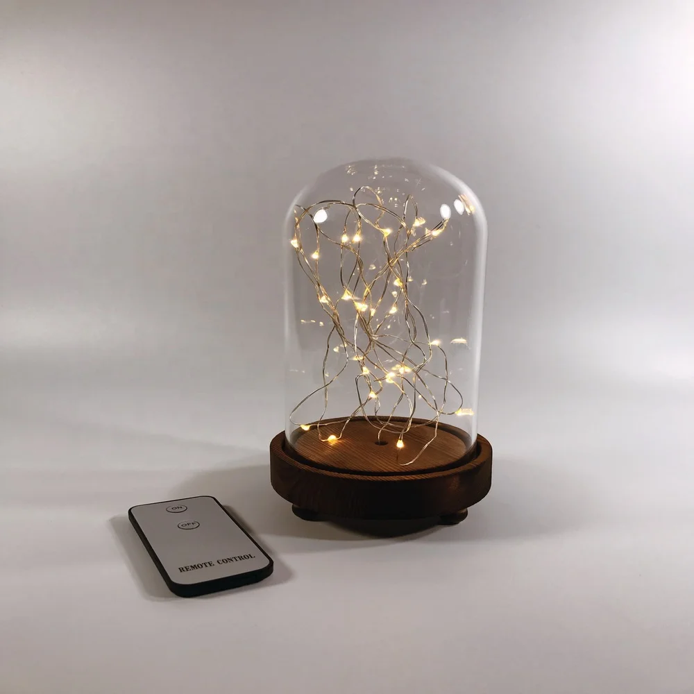 Mini Led String Light Glass Cloche Dome Led With Remote Control
