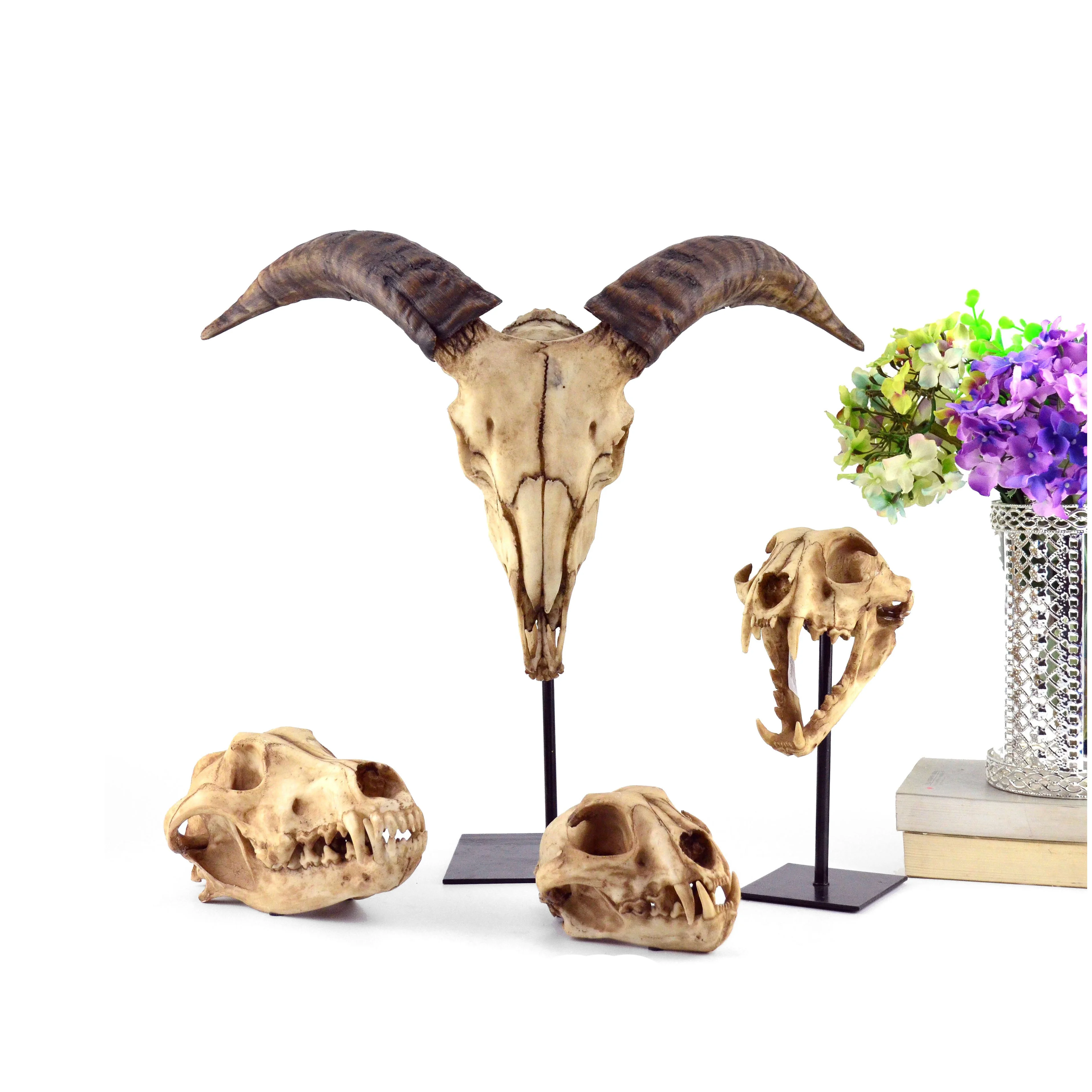 Antique 3D Resin Animal Dinosaur Skull Head Model Home Decoration Europe SCULPTURE Folk Art