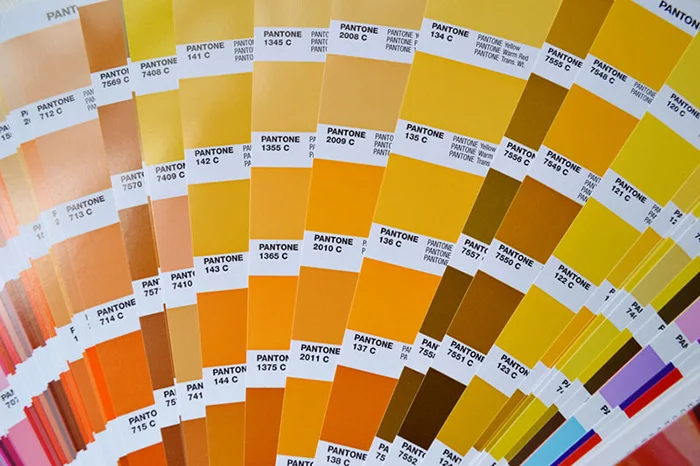 PANTONE 色見本　solid coated & uncoated PANTONE® USA | Solid Chips Supplement | Coated & Uncoated